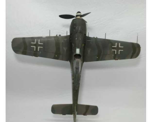 FOCKE-WULF FW190 - 1/48