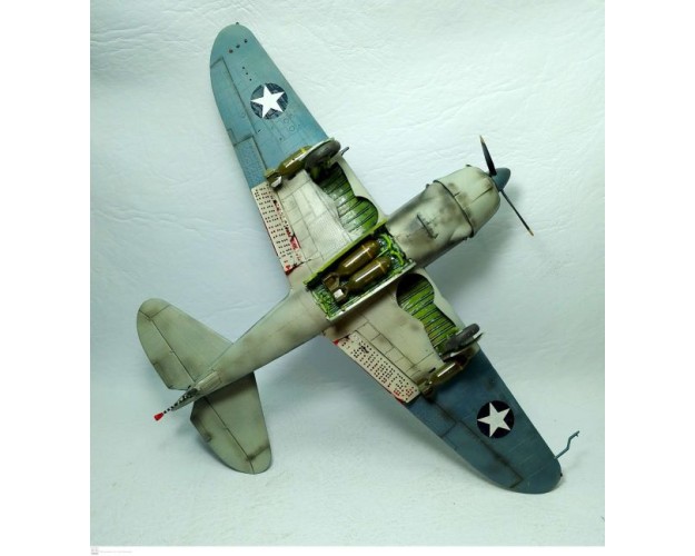 CURTISS HELLDIVER SB2C 1/48