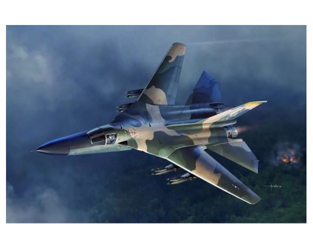 USAF F-111 A ARDVARK "VIETNAM WAR"