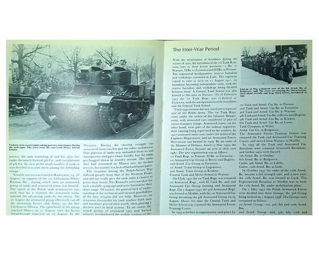 POLISH ARMOUR 1939-45