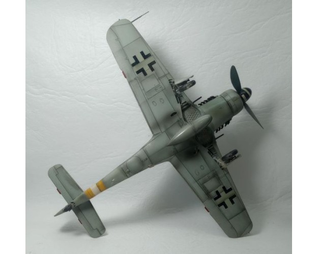 FOCKE-WULF FW-190 D9 - JG2 - 1/48