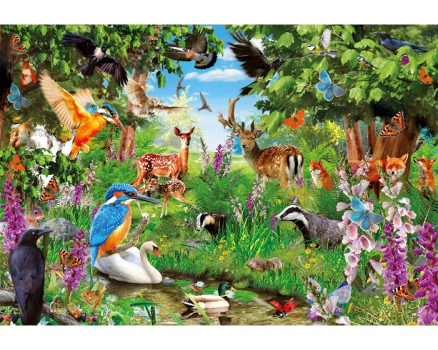 PZL 2000 HQC FANTASTIC FOREST 2020