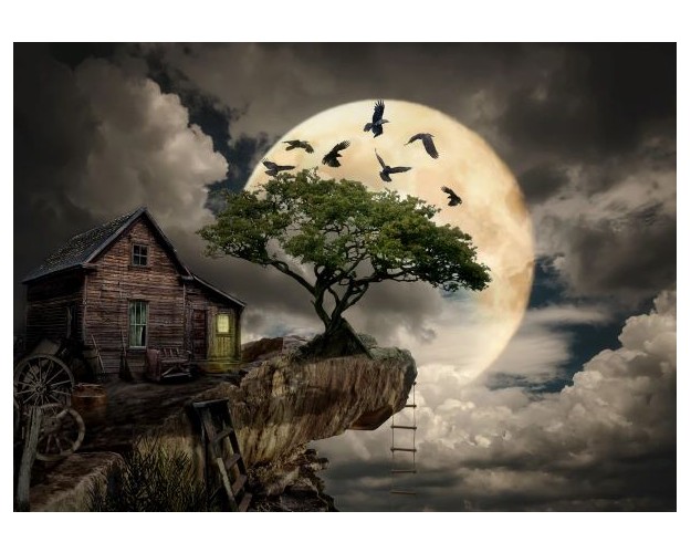 A Log Cabin on a Cliff