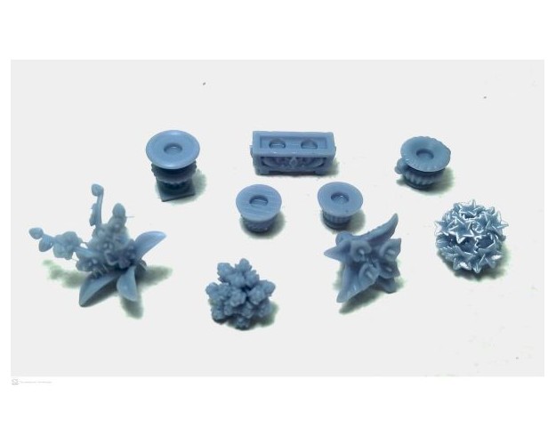 Set de plantas y macetas