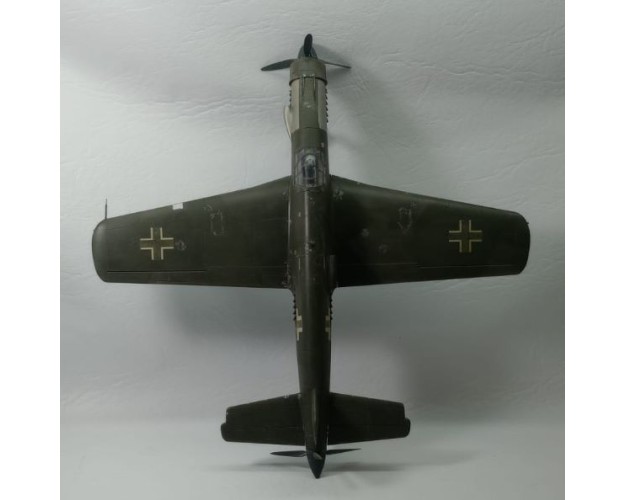 DORNIER DO-335 PFEIL - 1/48