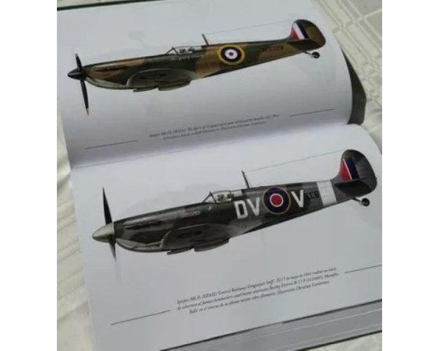 ALAS PARA LA VICTORIA