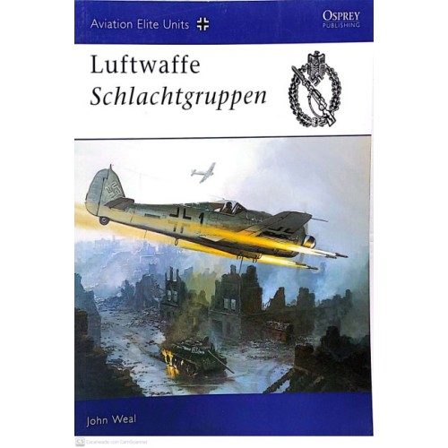 13 - LUFTWAFFE SCHLACHTGRUPPEN