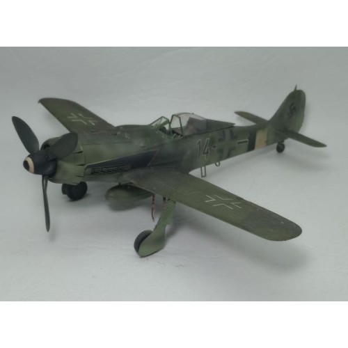 FOCKE-WULF FW-190 D9 - 14 NEGRO - 1/48