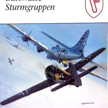 20 - LUFTWAFFE - STURMGRUPPEN