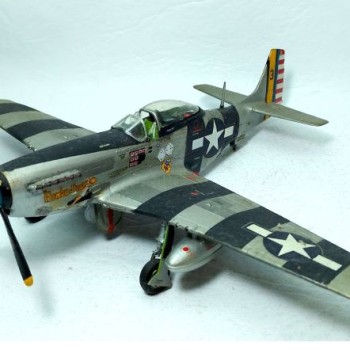 P-51D MUSTANG 1/48