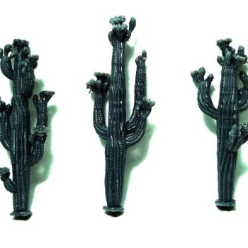 Set de 3 cactus con flor.