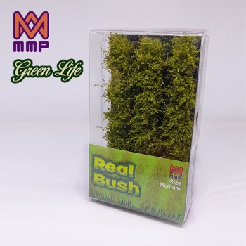 LIMA REAL BUSH
