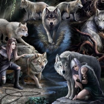 ANNE STOKES - WOLF COLLAGE