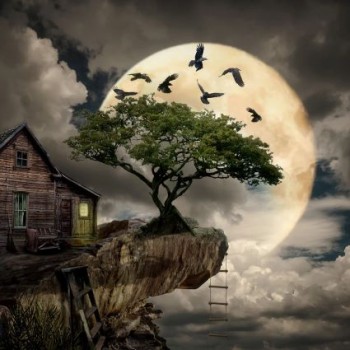 A Log Cabin on a Cliff