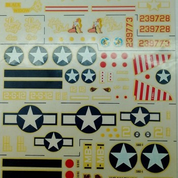 P61 BLACK WIDOW & SBD DAUNTLESS