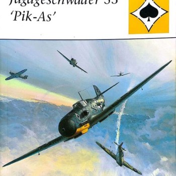 25 - JAGDGESCHWADER 53 "PIK-AS"