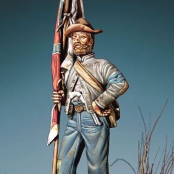 TEXAS STANDARD BEARER 1861-65