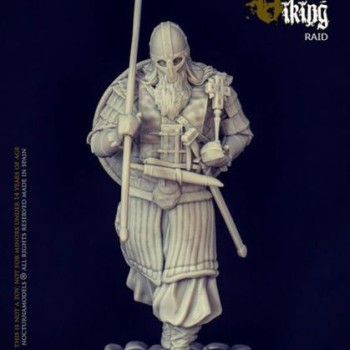 VIKING RAID