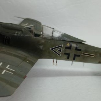 FOCKE-WULF FW190 - 1/48